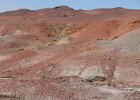 03GOBI P1000216